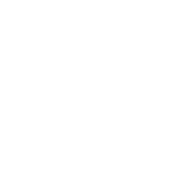 Logo Danti /Georgia/
