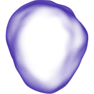 Logo Prolaio, Inc.