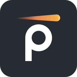 Logo Pynt, Inc.