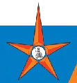 Logo BOI Shareholding Ltd.