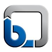Logo KSB Shanghai Pump Co., Ltd.