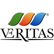 Logo Veneziana Energia Risorse Idriche Territorio Ambiente Servizi