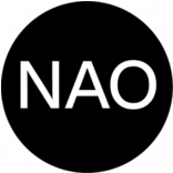 Logo National Audit Services, Inc.